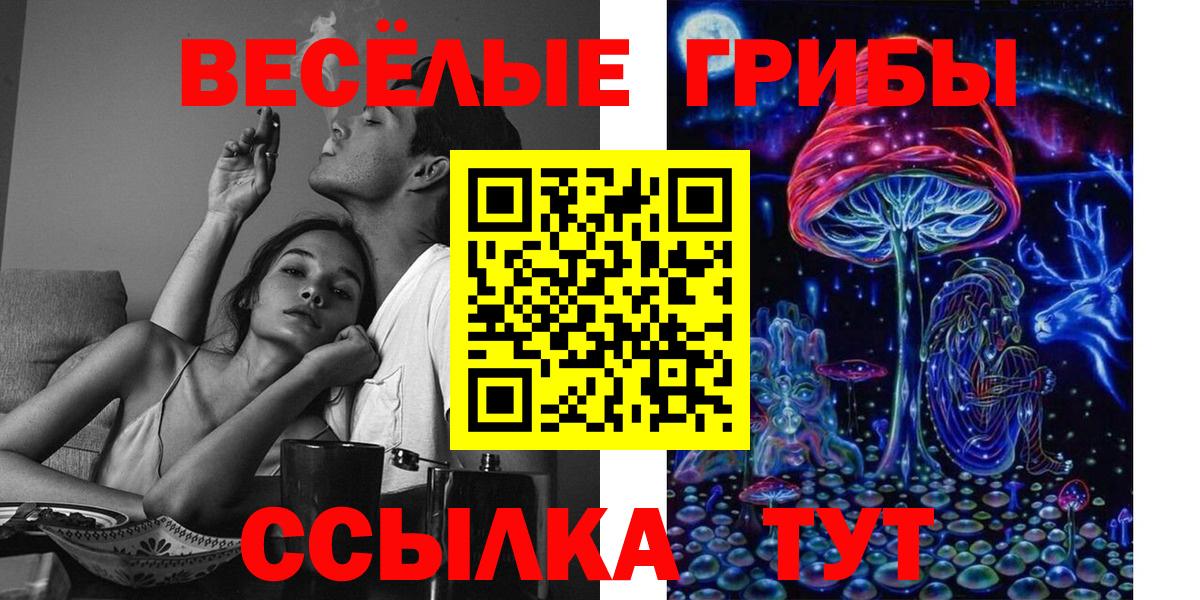 Псилоцибиновые грибы мухоморы  Галлюциногенные грибы мицелий  хочу наркоту  Новокубанск  Вход с VPN 
